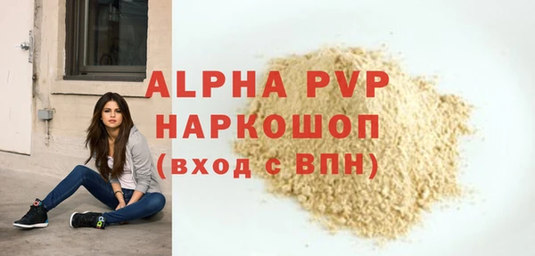 ешки Алексин