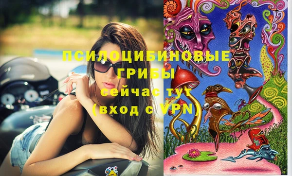 гашик Новозыбков