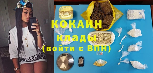 ешки Алексин